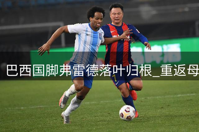 巴西国脚弗雷德落叶归根 重返母队米内罗竞技